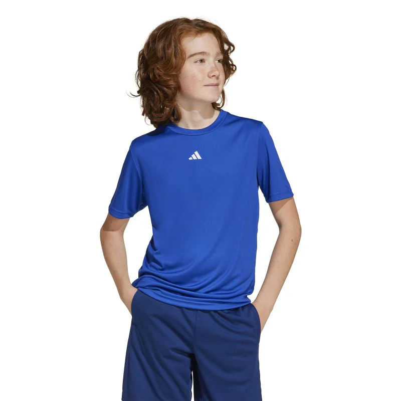 Adidas Boys Train Essentials Logo Tee