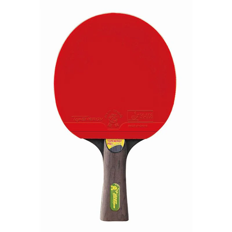 Giant Dragon Topenergy 5 Star Table Tennis Bat