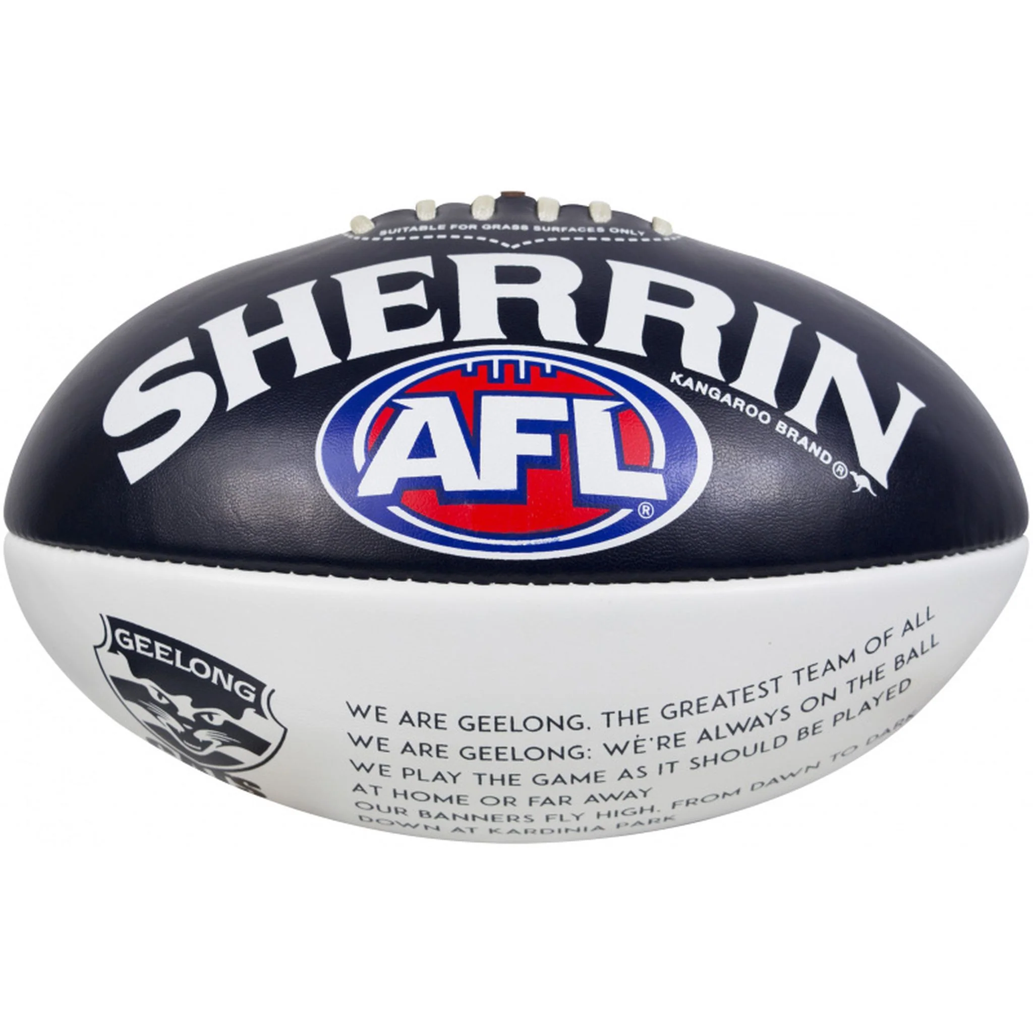 Sherrin Geelong Cats PVC Song Football - Image 2