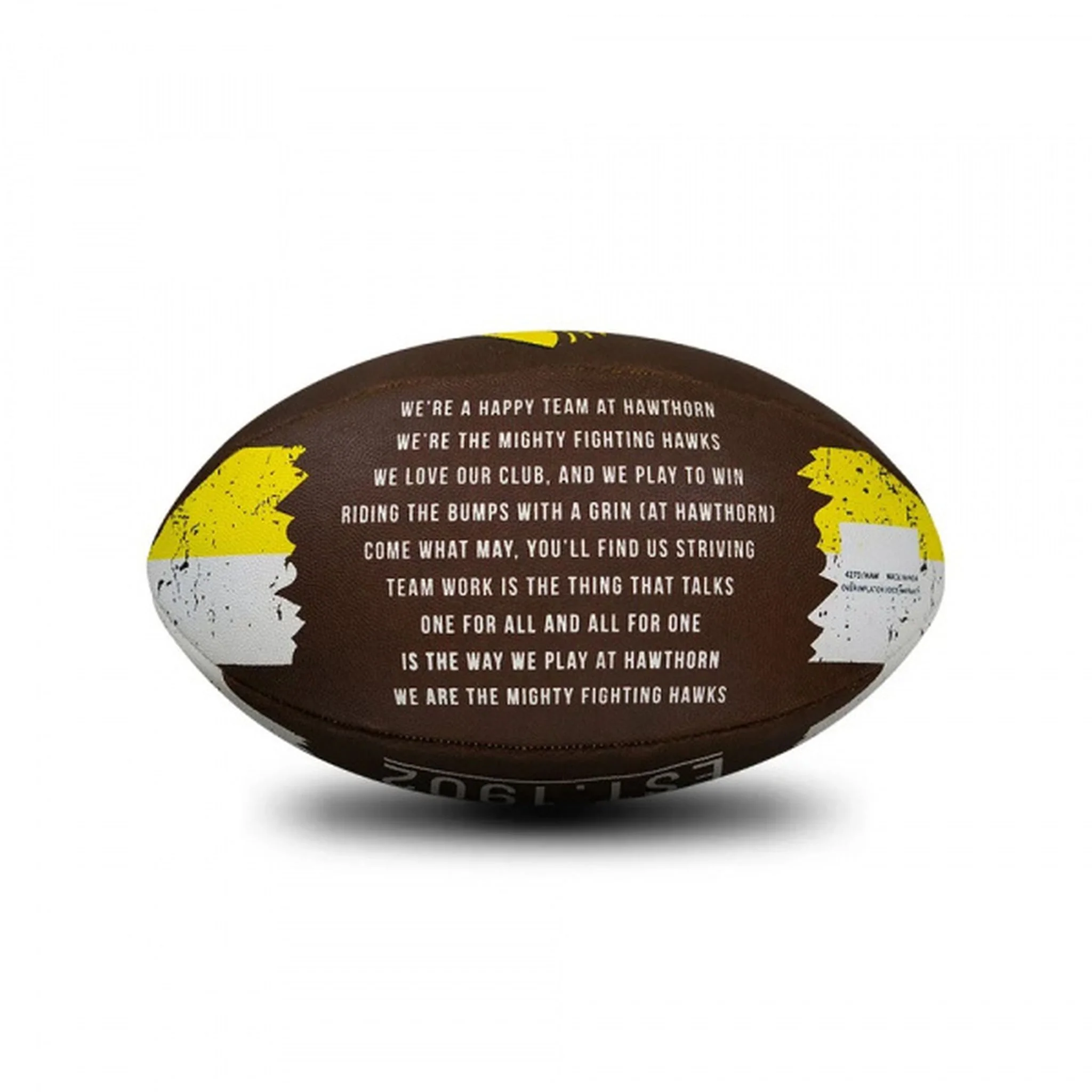Sherrin Hawthorn Hawks PVC Song Football - Image 2
