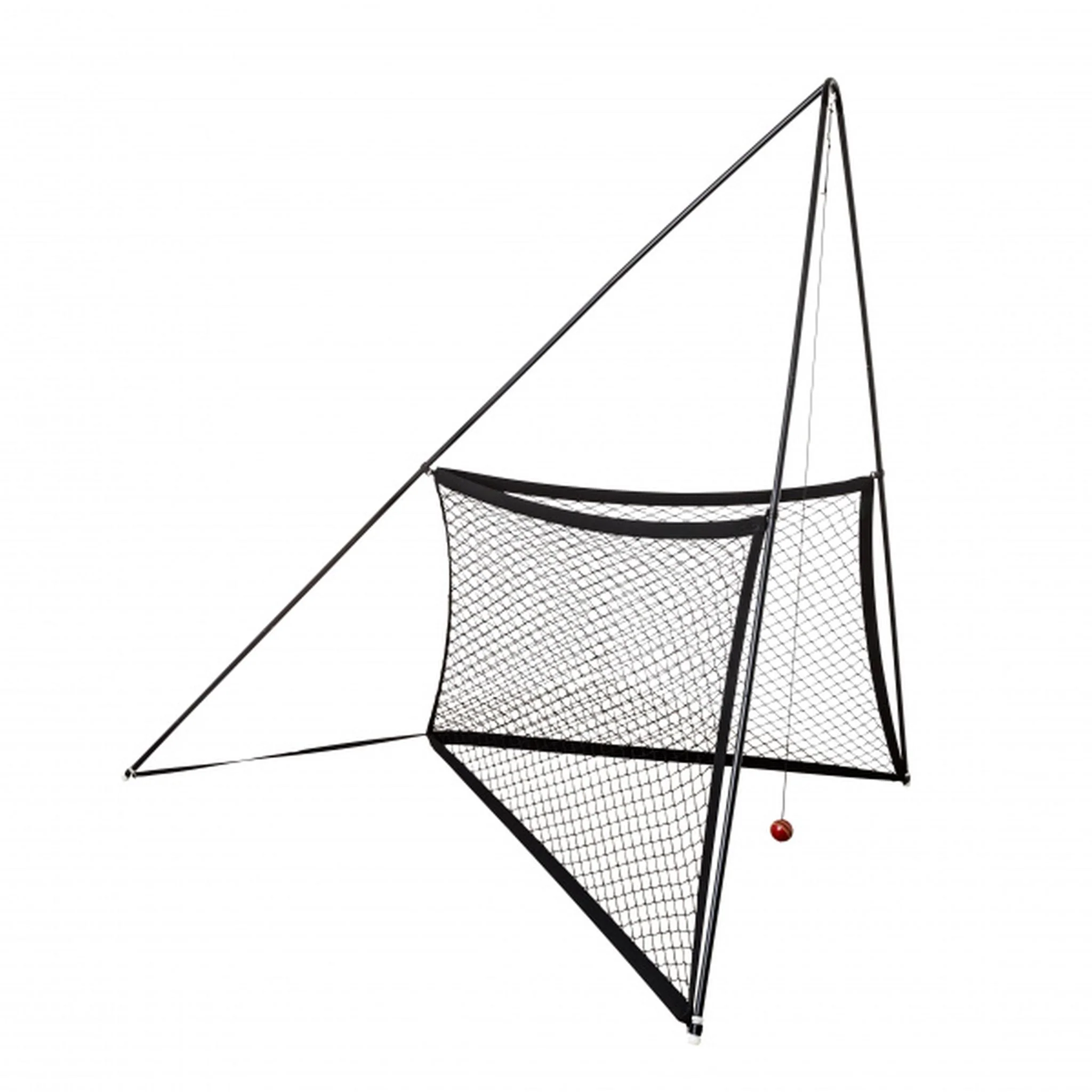 The V-PRO Elite Cricket Training Net