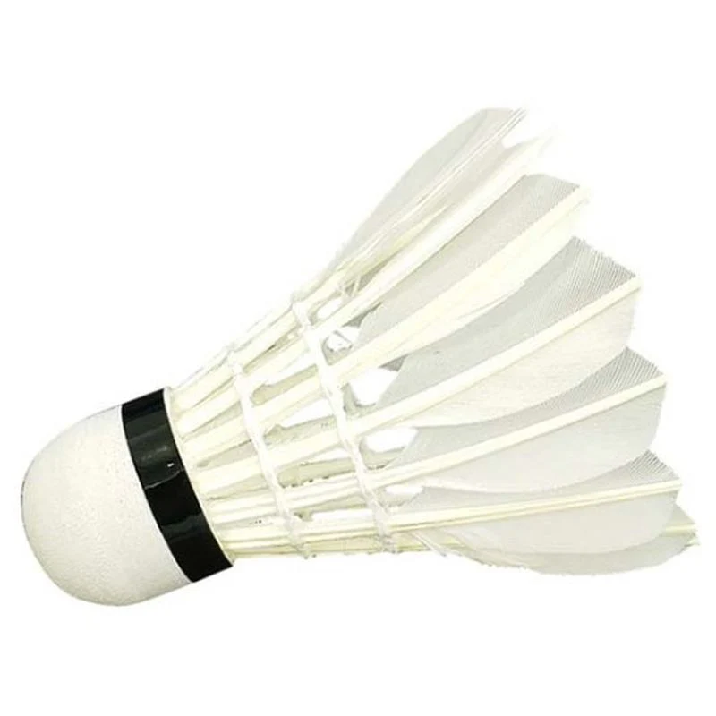 Wish 808 Training Shuttlecock - Image 2